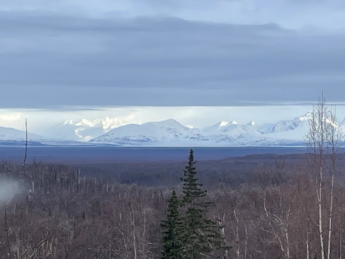 Mike and Molly's cabin outside Talkeetna, with Denali in the distance